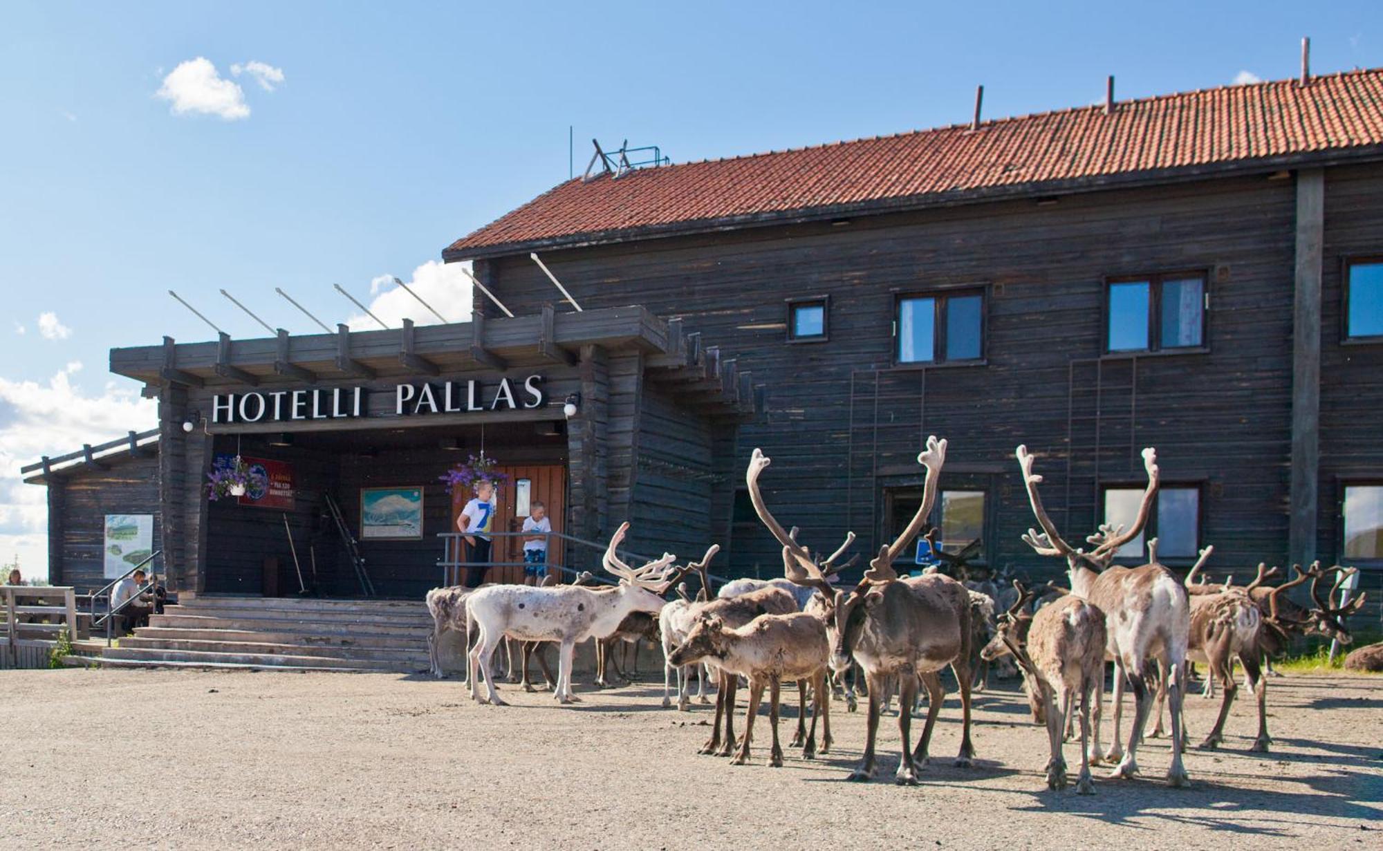 Lapland Hotels Pallas Berggipfel Berggipfel Pallastunturi Exterior foto